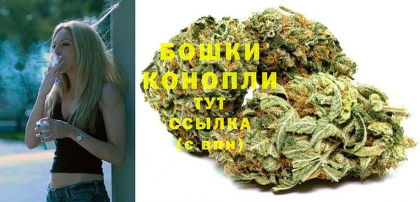 гашик Новокубанск
