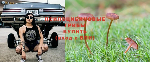 прущие грибы Покачи