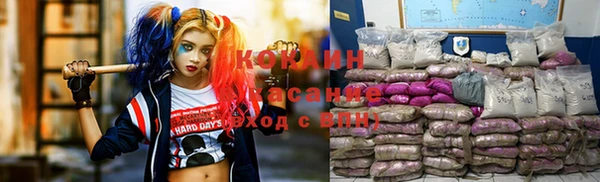 гашик Новокубанск