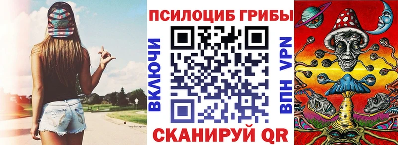 OMG вход  продажа наркотиков  Энем  Псилоцибиновые грибы Psilocybine cubensis 